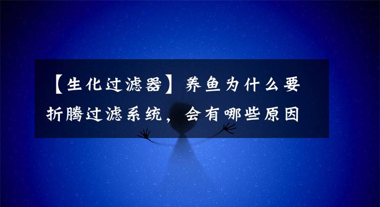 【生化过滤器】养鱼为什么要折腾过滤系统，会有哪些原因，又该怎么折腾？