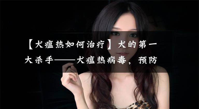 【犬瘟热如何治疗】犬的第一大杀手——犬瘟热病毒，预防胜过治疗