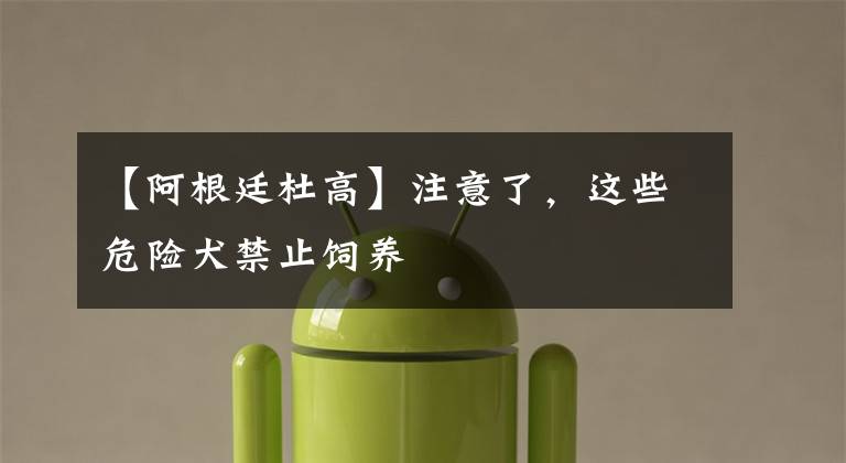 【阿根廷杜高】注意了,这些危险犬禁止饲养