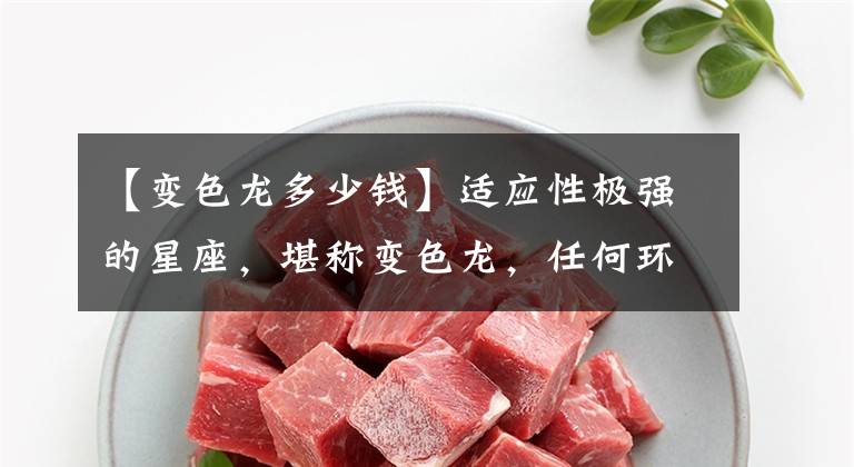 【变色龙多少钱】适应性极强的星座,堪称变色龙,任何环境都能如鱼得水,情商很高