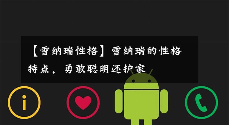 【雪纳瑞性格】雪纳瑞的性格特点，勇敢聪明还护家