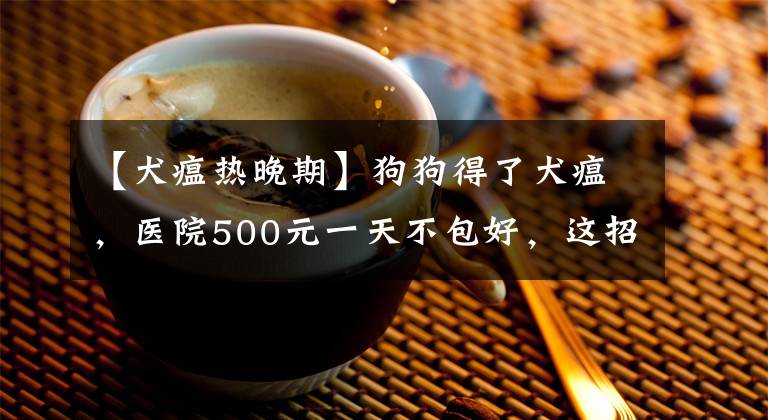 【犬瘟热晚期】狗狗得了犬瘟，医院500元一天不包好，这招救命方法很重要！