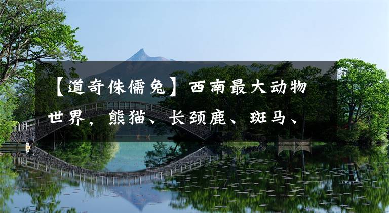 【道奇侏儒兔】西南最大动物世界,熊猫、长颈鹿、斑马、鸵鸟…3000多只动物任你看
