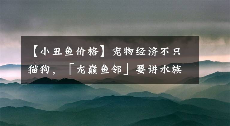 【小丑鱼价格】宠物经济不只猫狗，「龙巅鱼邻」要讲水族故事