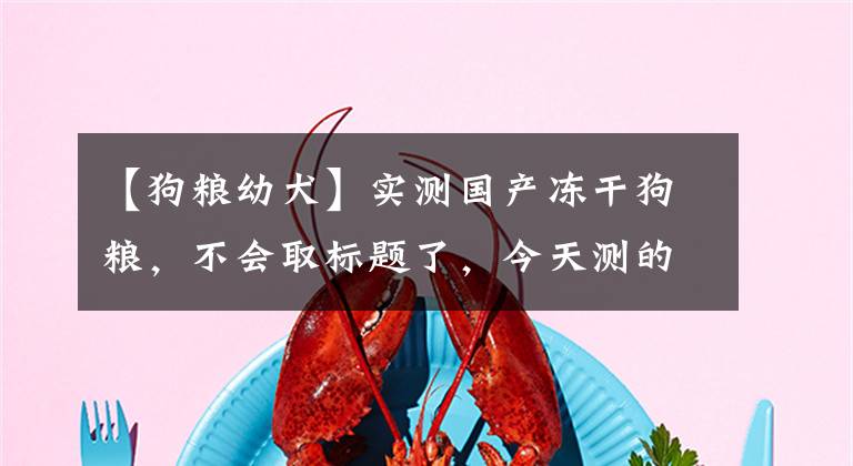 【狗粮幼犬】实测国产冻干狗粮，不会取标题了，今天测的是豆柴冻干幼犬