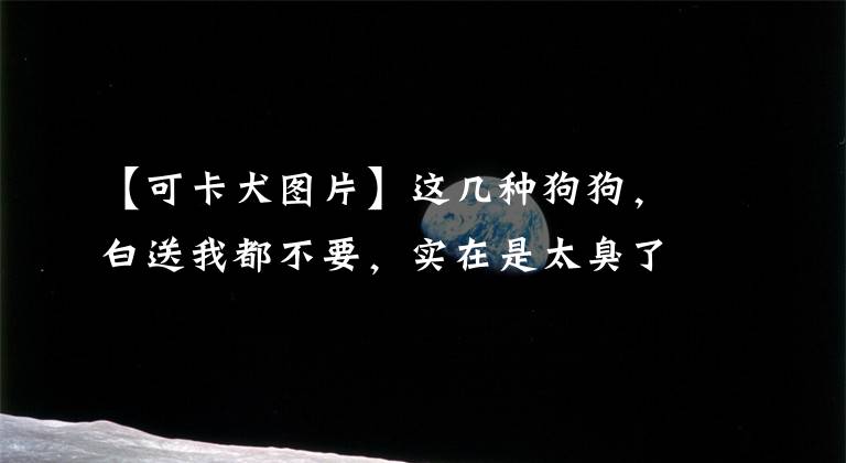 【可卡犬图片】这几种狗狗,白送我都不要,实在是太臭了