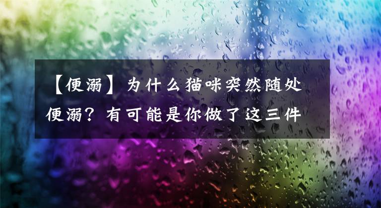 【便溺】为什么猫咪突然随处便溺?有可能是你做了这三件事