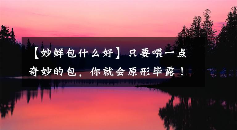 【妙鲜包什么好】只要喂一点奇妙的包,你就会原形毕露!哎呀?你答应抓老鼠的。