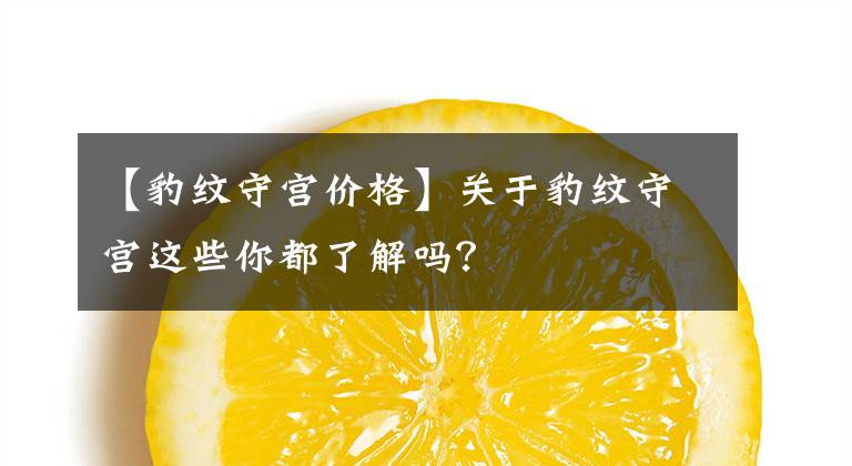 【豹纹守宫价格】关于豹纹守宫这些你都了解吗？