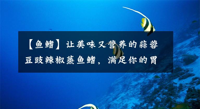 【鱼鳍】让美味又营养的蒜蓉豆豉辣椒蒸鱼鳍，满足你的胃吧