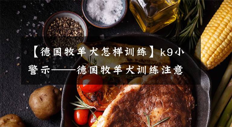【德国牧羊犬怎样训练】k9小警示——德国牧羊犬训练注意事项