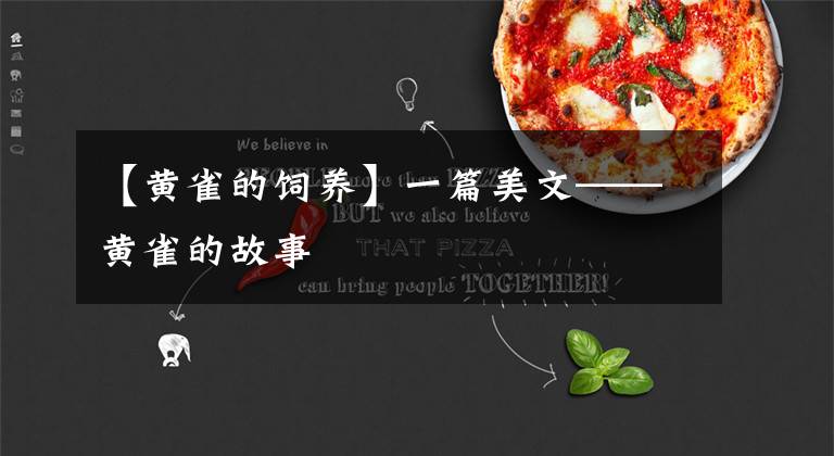 【黄雀的饲养】一篇美文——黄雀的故事