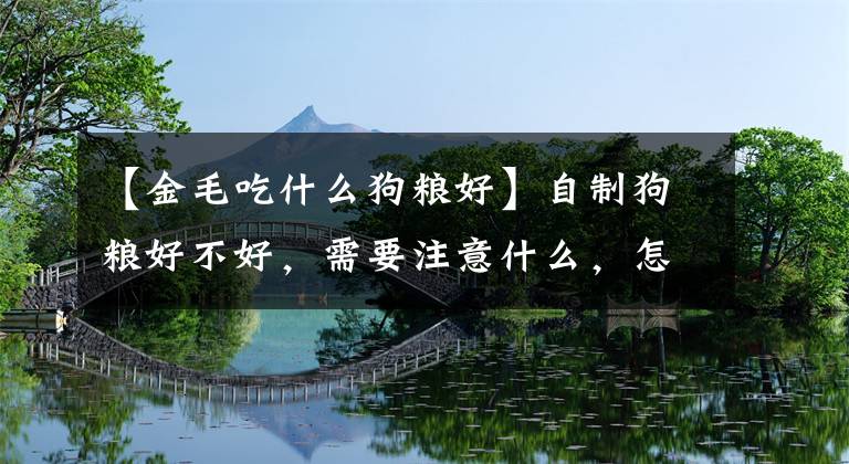 【金毛吃什么狗粮好】自制狗粮好不好,需要注意什么,怎么搭配合适
