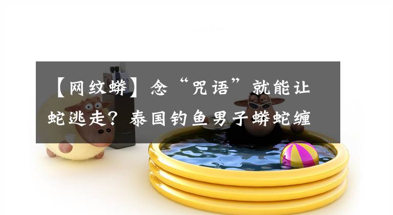 【网纹蟒】念“咒语”就能让蛇逃走？泰国钓鱼男子蟒蛇缠身，冷静念起咒语