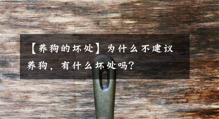 【养狗的坏处】为什么不建议养狗，有什么坏处吗？