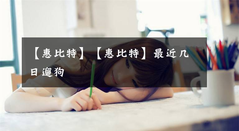 【惠比特】【惠比特】最近几日遛狗