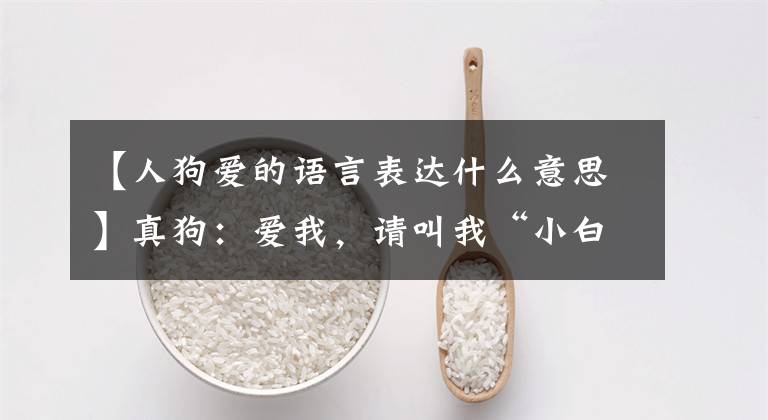 【人狗爱的语言表达什么意思】真狗:爱我,请叫我“小白”~