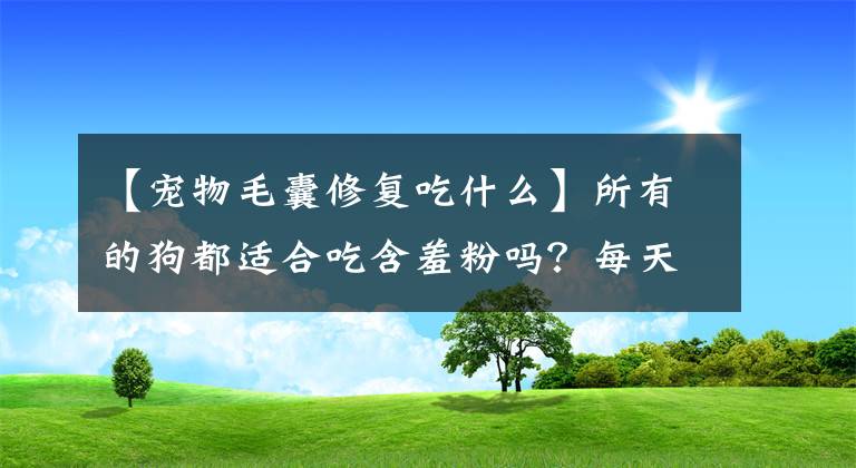 【宠物毛囊修复吃什么】所有的狗都适合吃含羞粉吗？每天几点注意，即使不好好想头发也很难。
