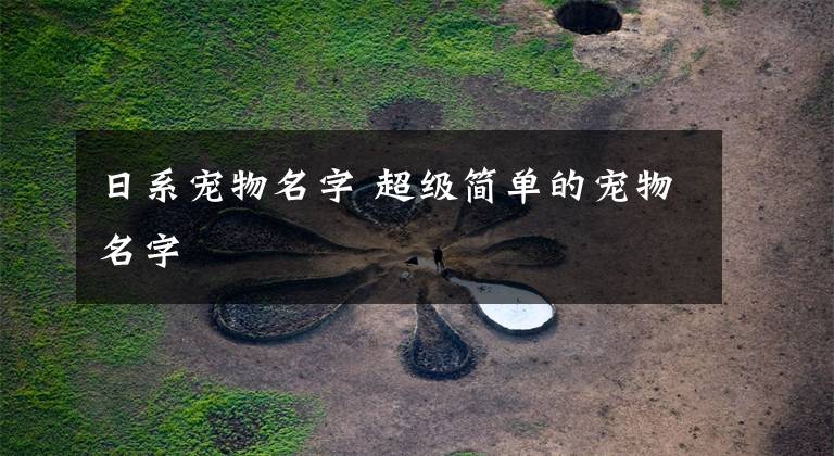 日系宠物名字 超级简单的宠物名字