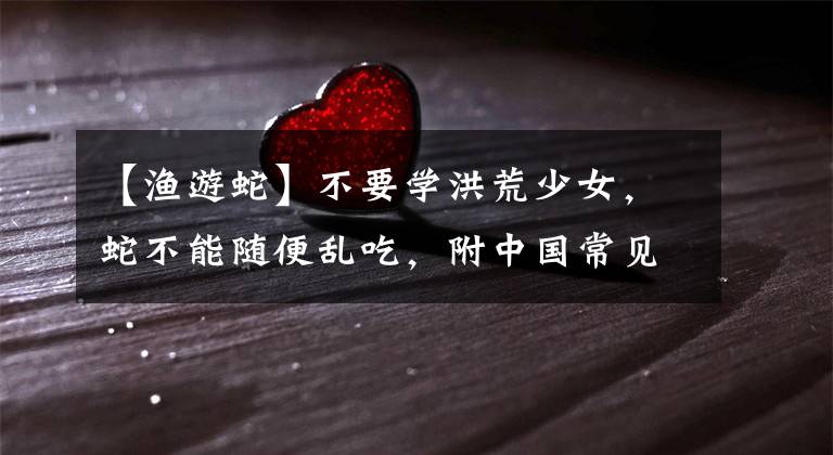 【渔游蛇】不要学洪荒少女，蛇不能随便乱吃，附中国常见的蛇类