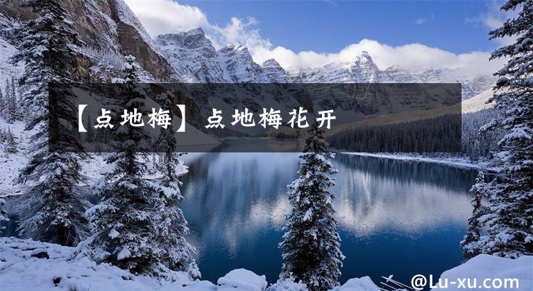 【点地梅】点地梅花开