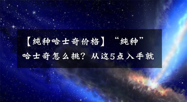 【纯种哈士奇价格】“纯种”哈士奇怎么挑？从这5点入手就好