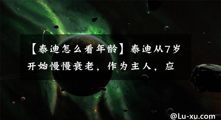 【泰迪怎么看年龄】泰迪从7岁开始慢慢衰老,作为主人,应该给予它更多的关心和呵护