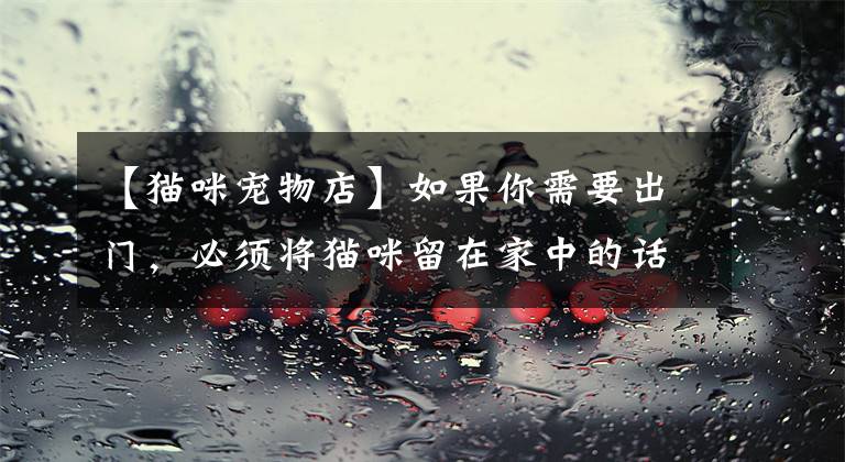 【猫咪宠物店】如果你需要出门，必须将猫咪留在家中的话，这几点一定得了解