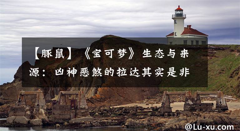 【豚鼠】《宝可梦》生态与来源：凶神恶煞的拉达其实是非常萌的荷兰猪？