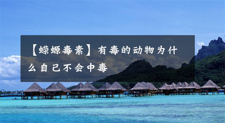 【蝾螈毒素】有毒的动物为什么自己不会中毒