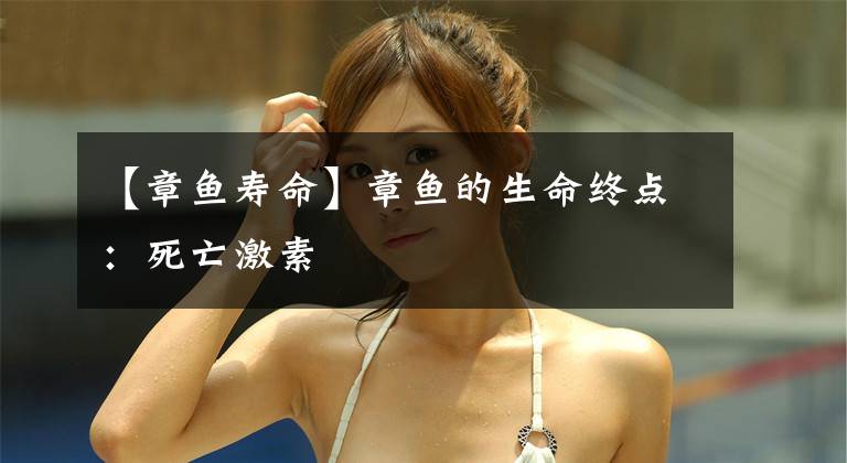 【章鱼寿命】章鱼的生命终点:死亡激素