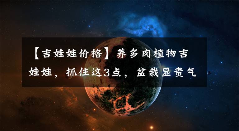 【吉娃娃价格】养多肉植物吉娃娃，抓住这3点，盆栽显贵气，特美