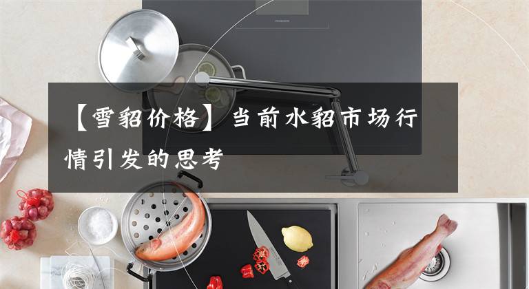 【雪貂价格】当前水貂市场行情引发的思考