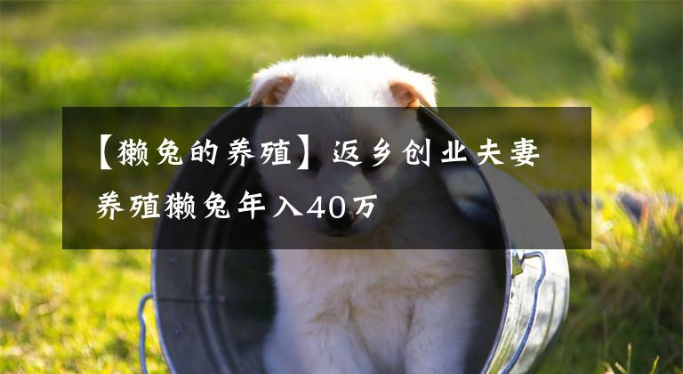 【獭兔的养殖】返乡创业夫妻 养殖獭兔年入40万