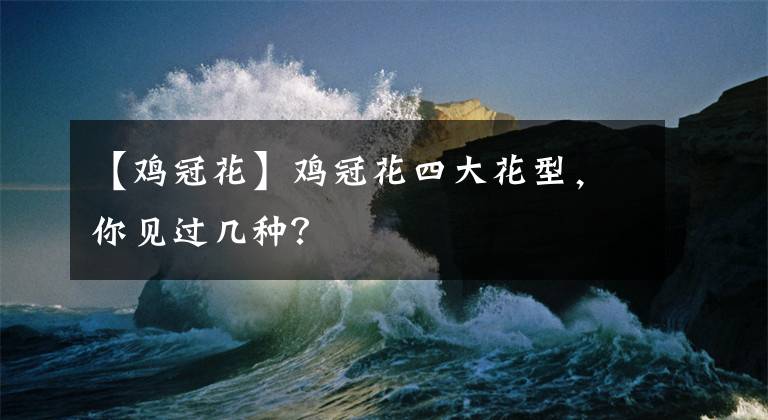 【鸡冠花】鸡冠花四大花型,你见过几种?
