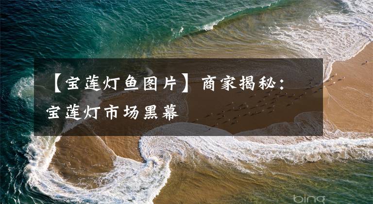 【宝莲灯鱼图片】商家揭秘:宝莲灯市场黑幕