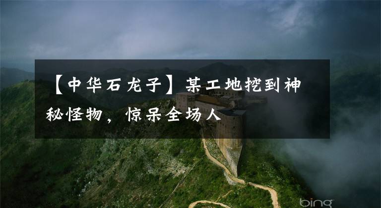 【中华石龙子】某工地挖到神秘怪物，惊呆全场人