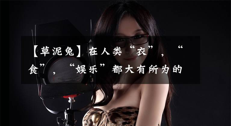 【草泥兔】在人类“衣”,“食”,“娱乐”都大有所为的小动物——兔子