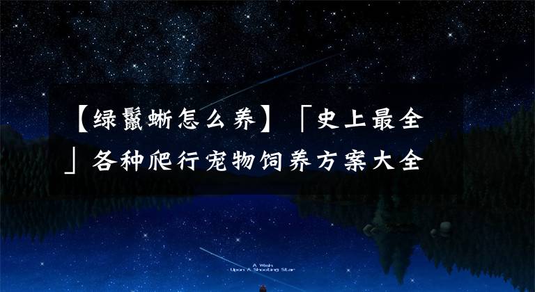 【绿鬣蜥怎么养】「史上最全」各种爬行宠物饲养方案大全，你想要的全在这