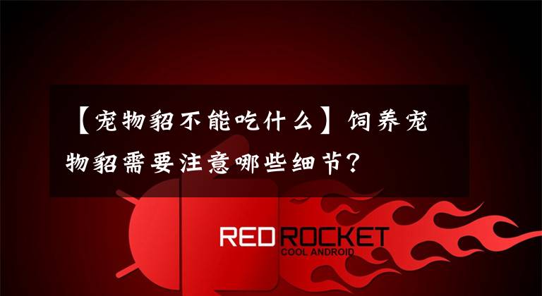 【宠物貂不能吃什么】饲养宠物貂需要注意哪些细节?