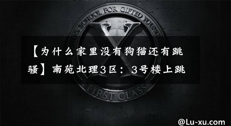 【为什么家里没有狗猫还有跳骚】南苑北理3区:3号楼上跳蚤疑惑与流浪猫有关