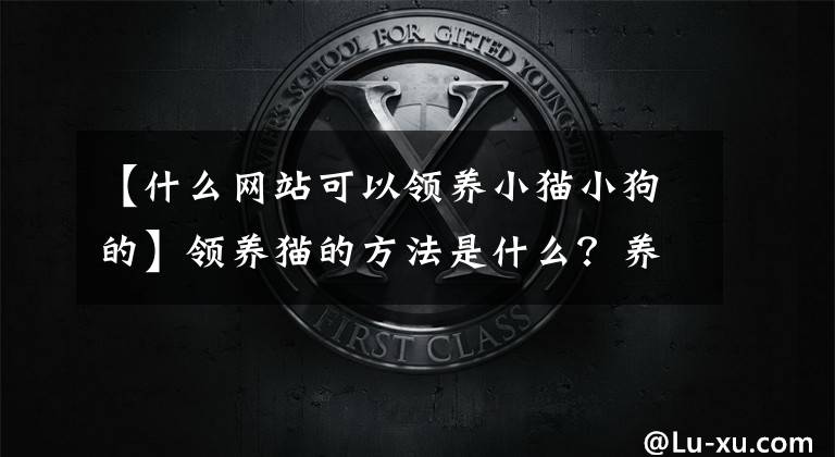 【什么网站可以领养小猫小狗的】领养猫的方法是什么？养猫有什么途径？