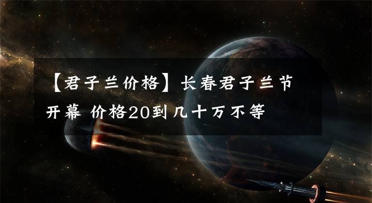 【君子兰价格】长春君子兰节开幕 价格20到几十万不等