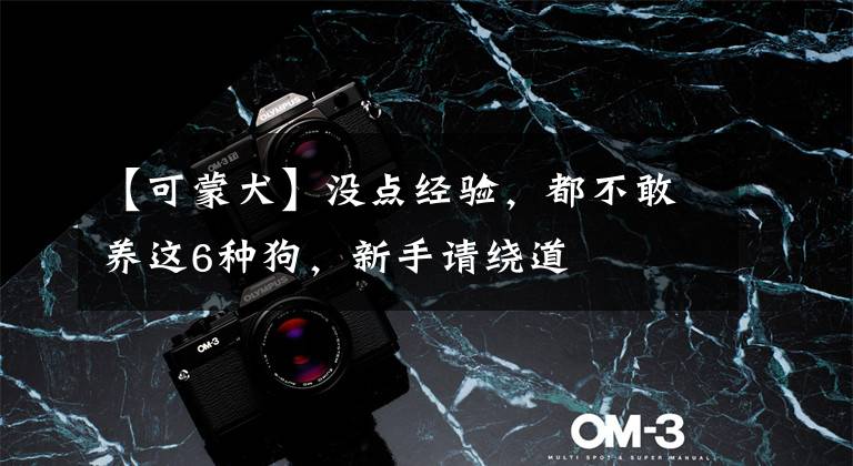 【可蒙犬】没点经验，都不敢养这6种狗，新手请绕道