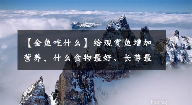 【金鱼吃什么】给观赏鱼增加营养,什么食物最好、长势最快,还有调理的作用呢?