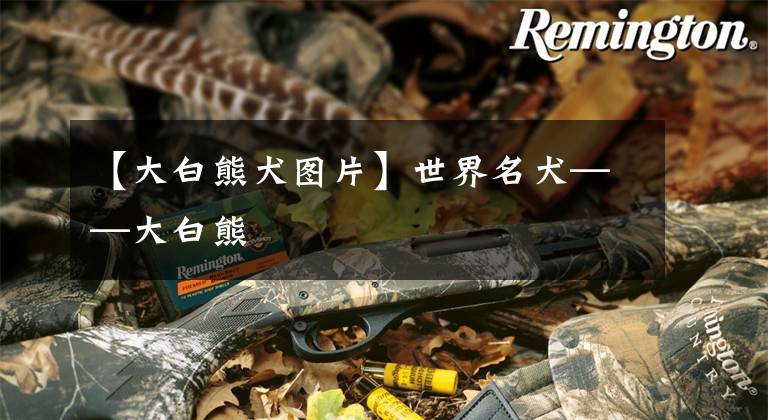 【大白熊犬图片】世界名犬——大白熊