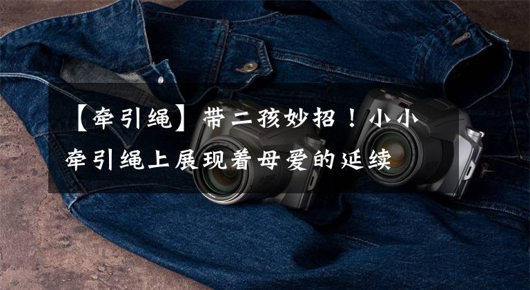 【牵引绳】带二孩妙招！小小牵引绳上展现着母爱的延续