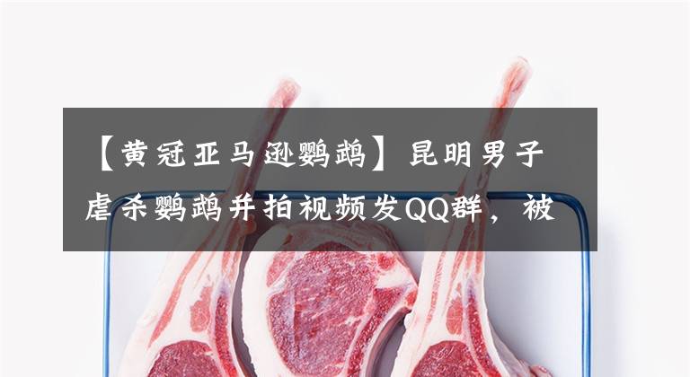 【黄冠亚马逊鹦鹉】昆明男子虐杀鹦鹉并拍视频发QQ群,被判拘役半年缓刑半年