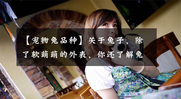 【宠物兔品种】关于兔子，除了软萌萌的外表，你还了解兔子哪些呢？