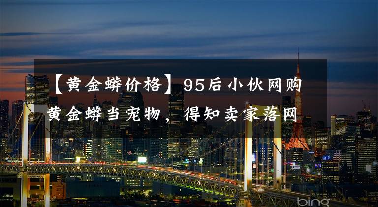 【黄金蟒价格】95后小伙网购黄金蟒当宠物，得知卖家落网后自首 | 检方起诉后法院宣判！